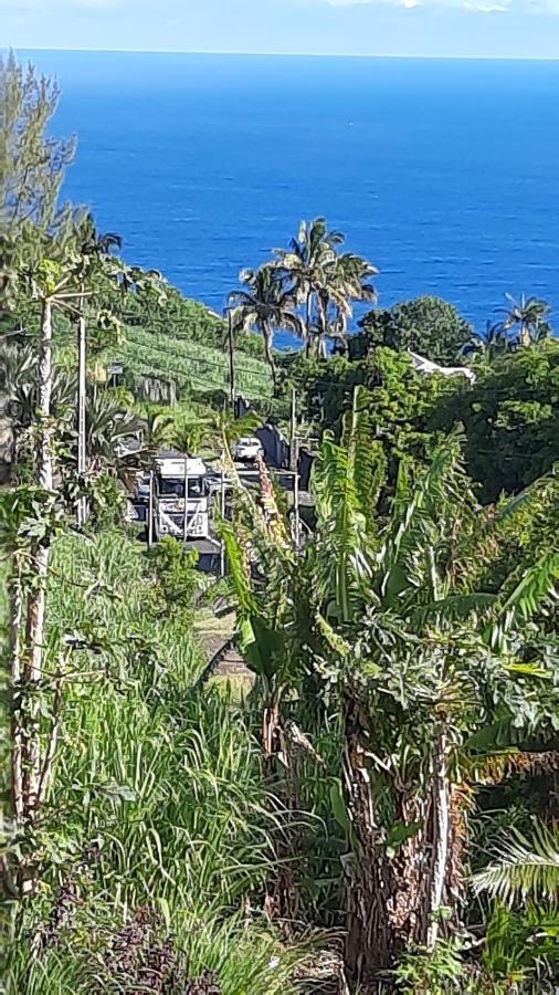 Chambre Vue Sur Mer Entre Grande Anse Et Manapany Petite Île Eksteriør bilde
